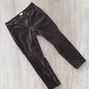 J JILL Classic 5 Pocket Stretch Velvet Gray Ankle Christmas Pants 6P 6 Petite